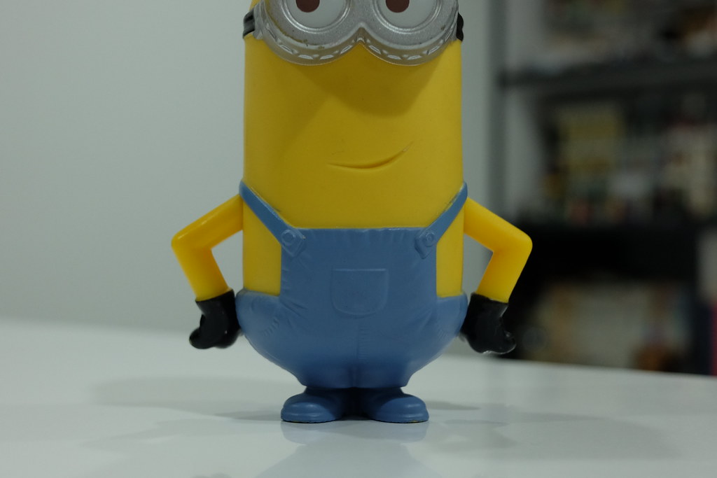 25077504156_710f529e31_b.jpg
