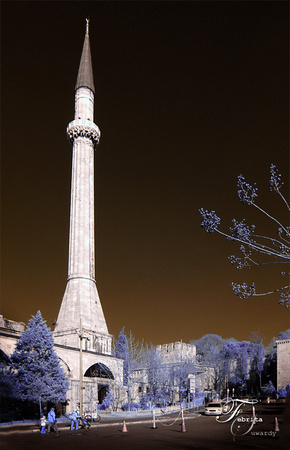 p597733724-3.jpg