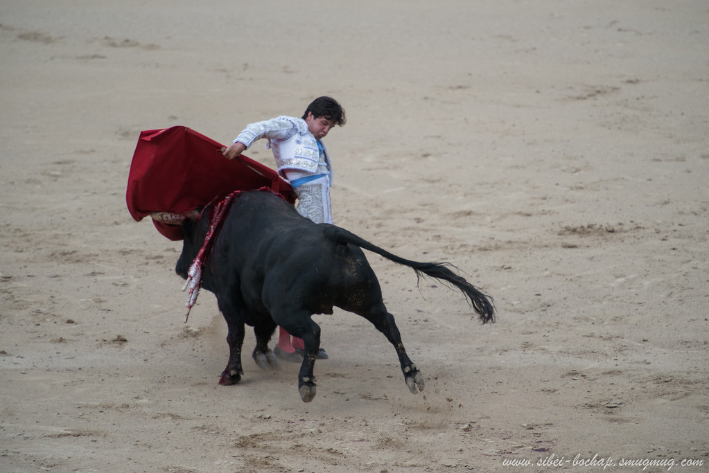 DSC8262-XL.jpg