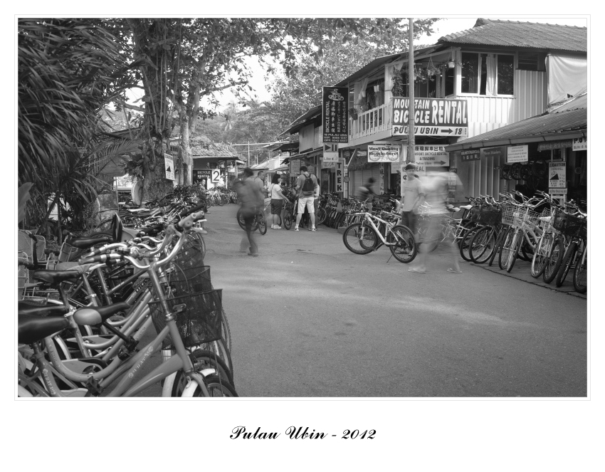 ubin001.jpg