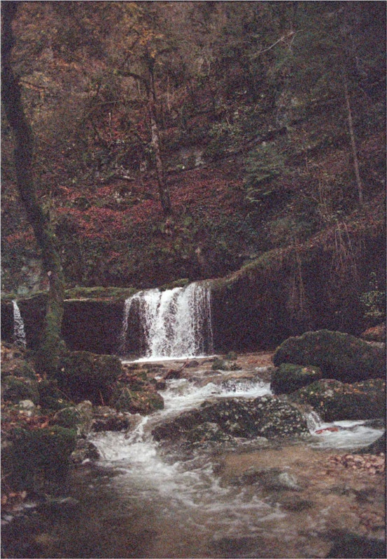 speria-12-553x800.jpg