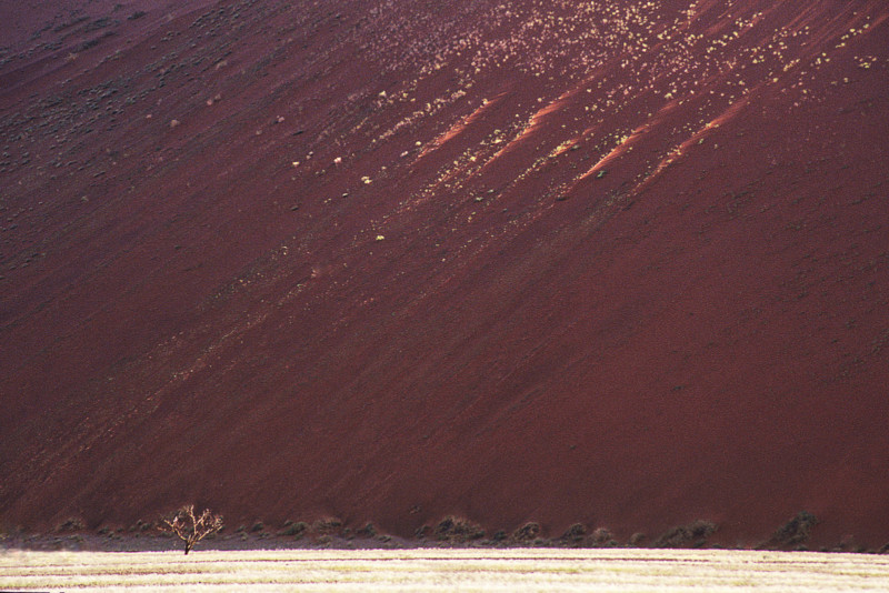N-09-684-1-large-800x534.jpg