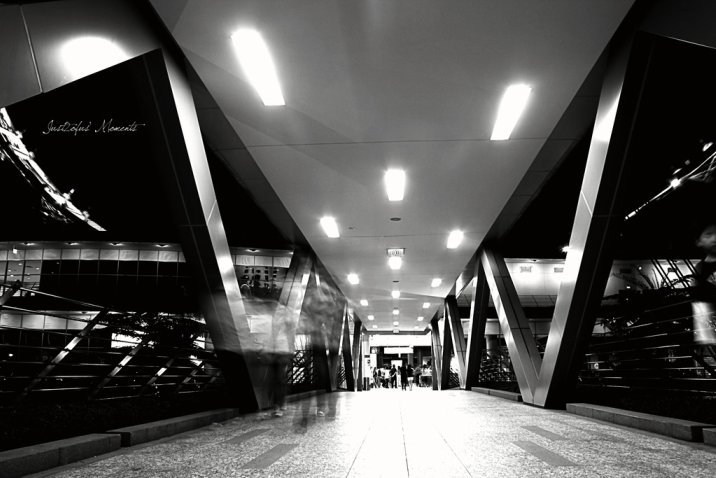 3393265530_306c51cb66_o.jpg