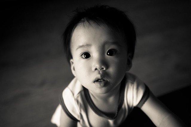 7120426791_d4ddf62db9_z.jpg