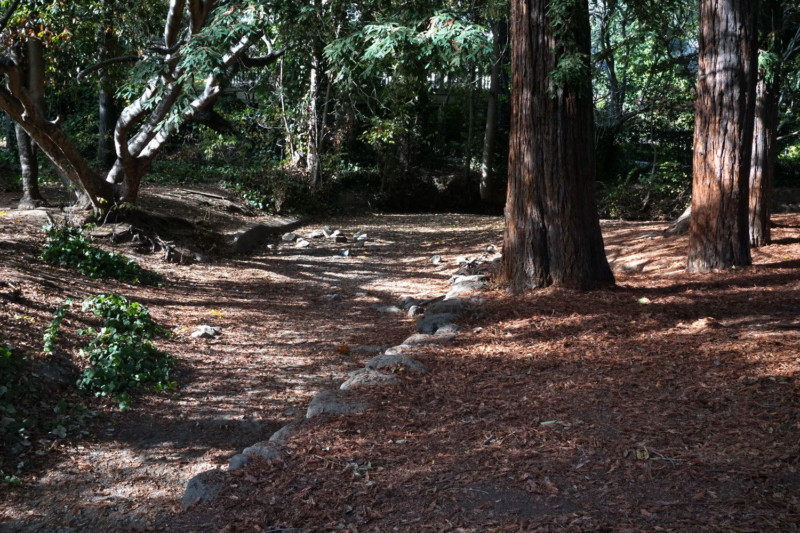 433-dehaze30-curves--800x533.jpg