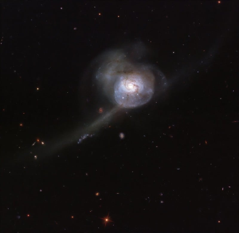 potw2043a-800x779.jpg