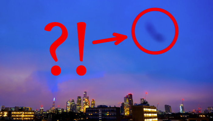 Did a Wandering Worm Ruin This 24-Hour Time-Lapse of More Than 3,000 Images?