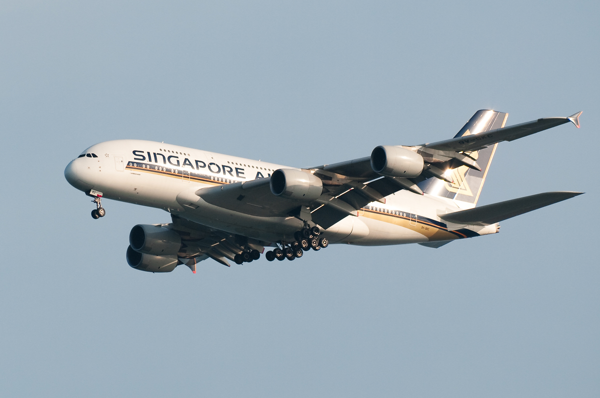 1188448404_foauc-X2.jpg