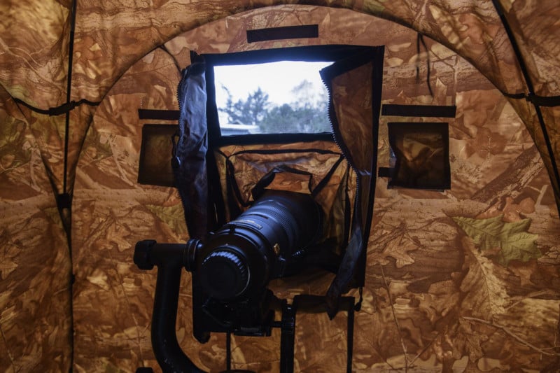viewing-800x533.jpg