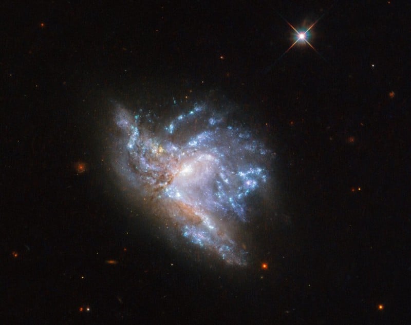 potw1909a-800x634.jpg