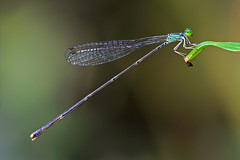 3642457643_e2d22fae04_m.jpg