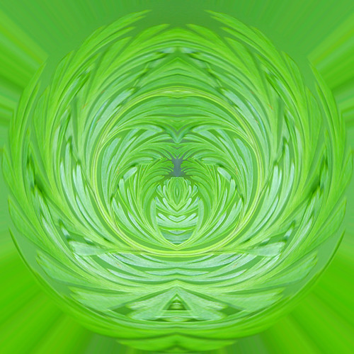 2048541709_4cf7b613cc.jpg