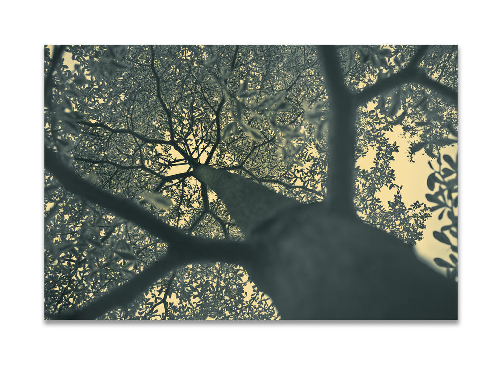 natural_circuits_by_draken413o-d3ff4ny.jpg