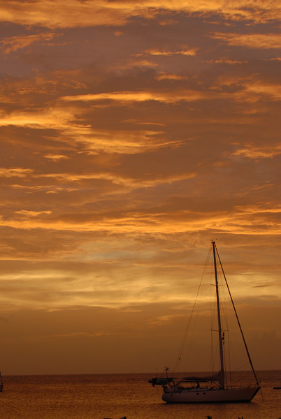 166052839_QdVRJ-L.jpg