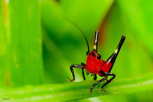 5194475264_1729a5bee5_z.jpg