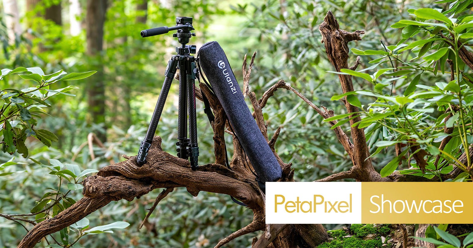 A tripod and a gray carrying case labeled Ulanzi rest on a tree branch in a green, leafy forest. The Petapixel Showcase logo appears in the lower right corner of the image.