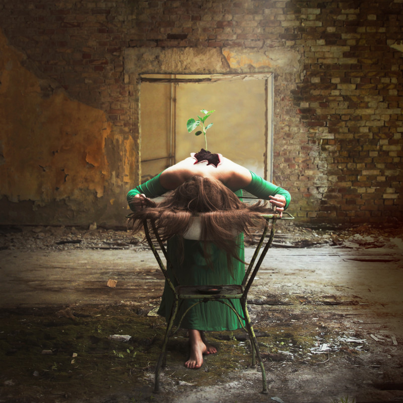 In-decay-she-grew_-800x800.jpg