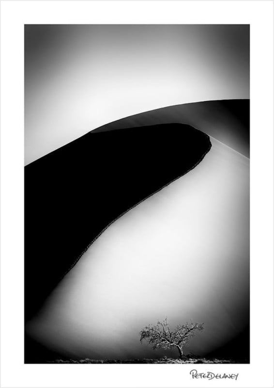 Dune-45-Tree-BW-2018--566x800.jpg