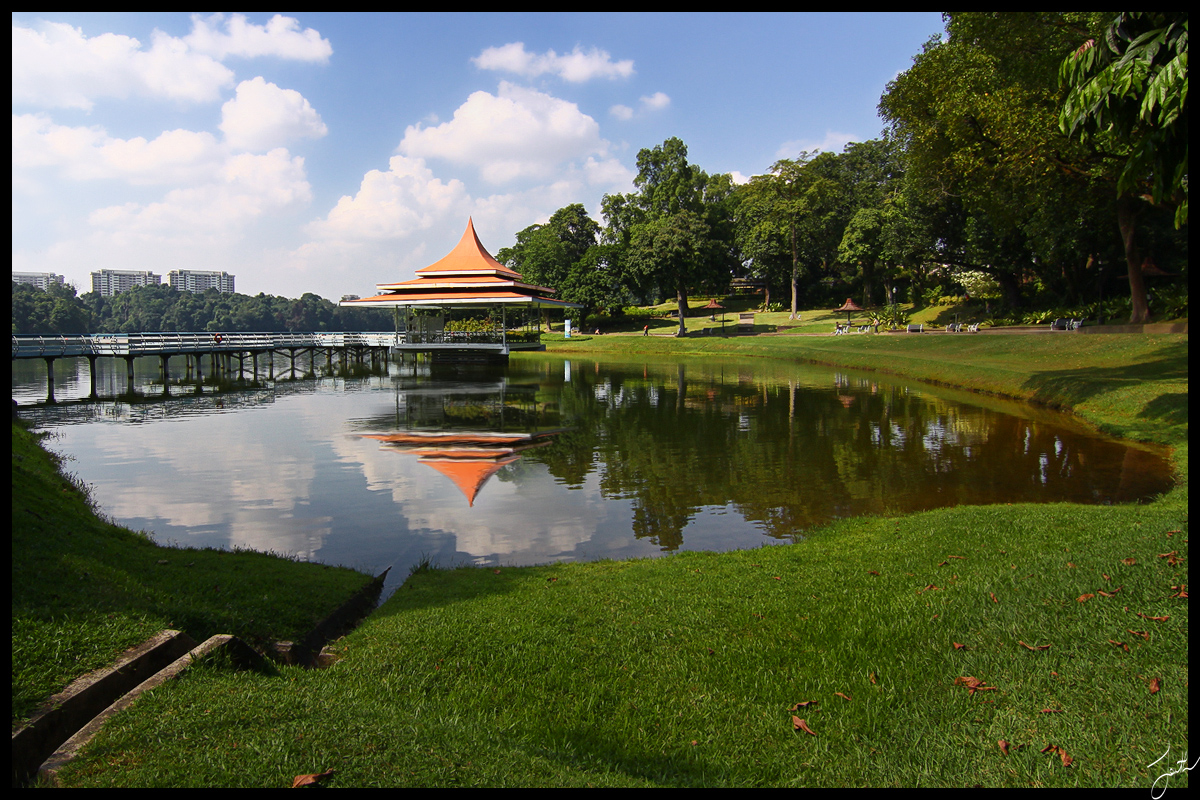 Macritchie_Reservoir_3_by_Draken413o.jpg