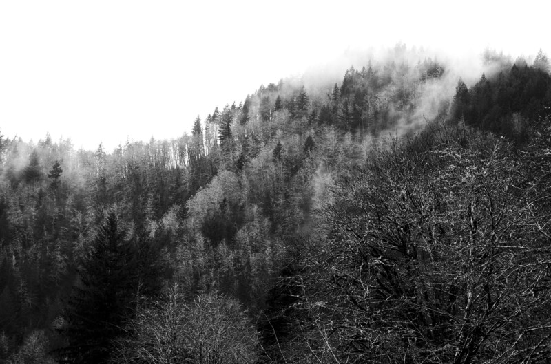 L1000604-800x529.jpg