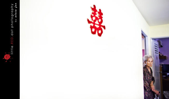 4890978064_90e4e5c37a_b.jpg