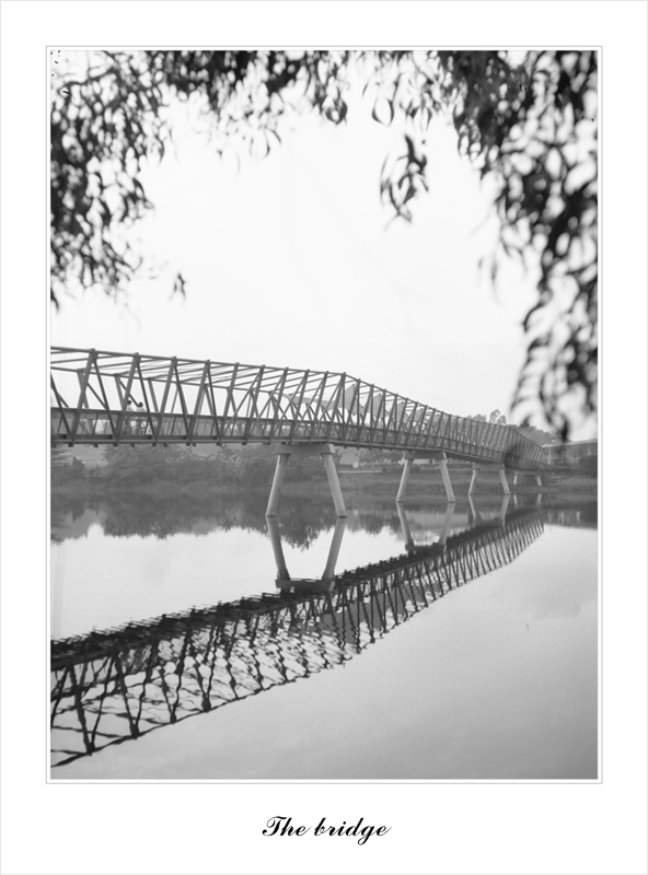 punggol002.jpg