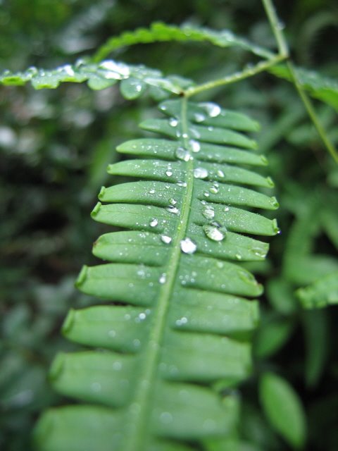 IMG_4907_640.0.jpg