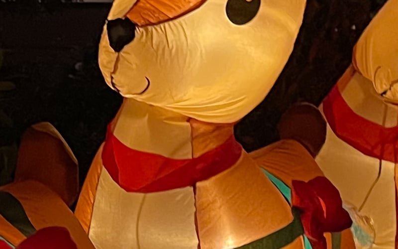 HEIC_9_crop.jpg