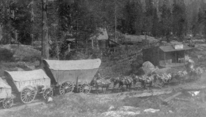 A Full Team on the Sierras: Images From 1866