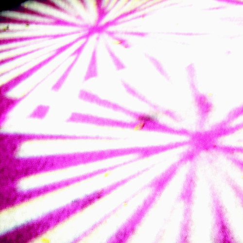99754388_3475e39de6.jpg