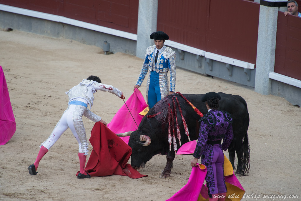 DSC8318-XL.jpg