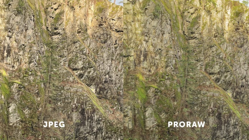 proraw-vs-jpeg-image-one-comparison-800x450.jpg