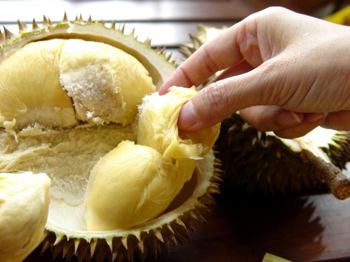 durian1.jpg