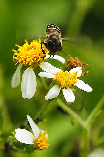 3290054875_3d959f3176.jpg