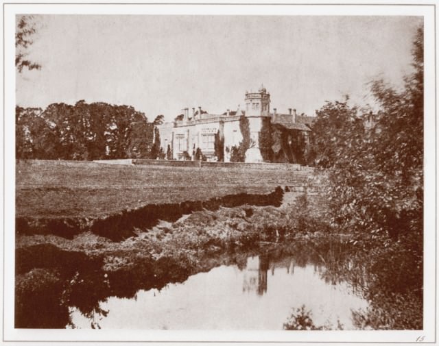 plate_15.jpg
