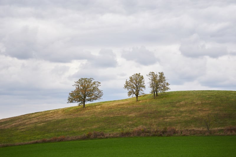 sigma-18-50mm-f2-8-lens-sample-1-800x534.jpg