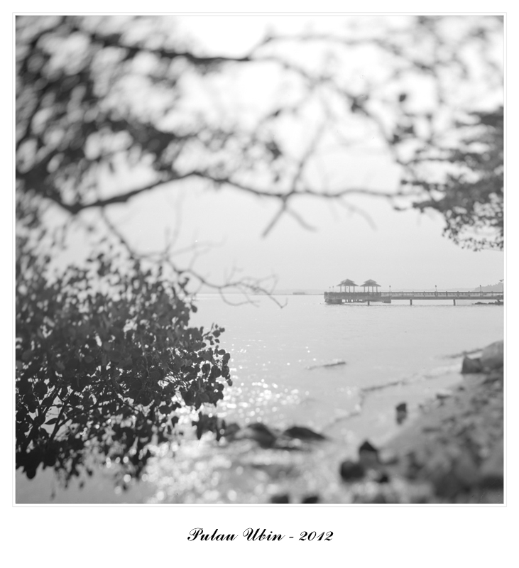 ubin003.jpg