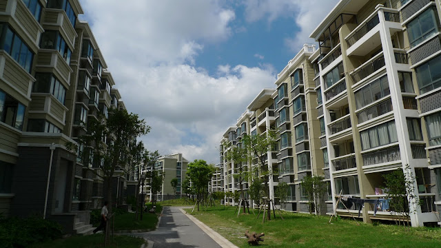 P1010748.JPG