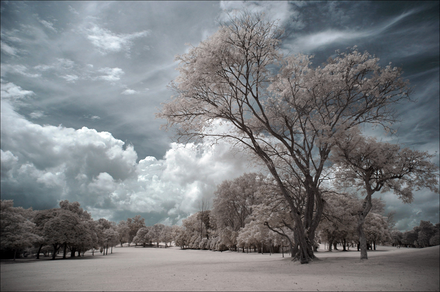 SICC_IR_I_by_log1t3ch.jpg