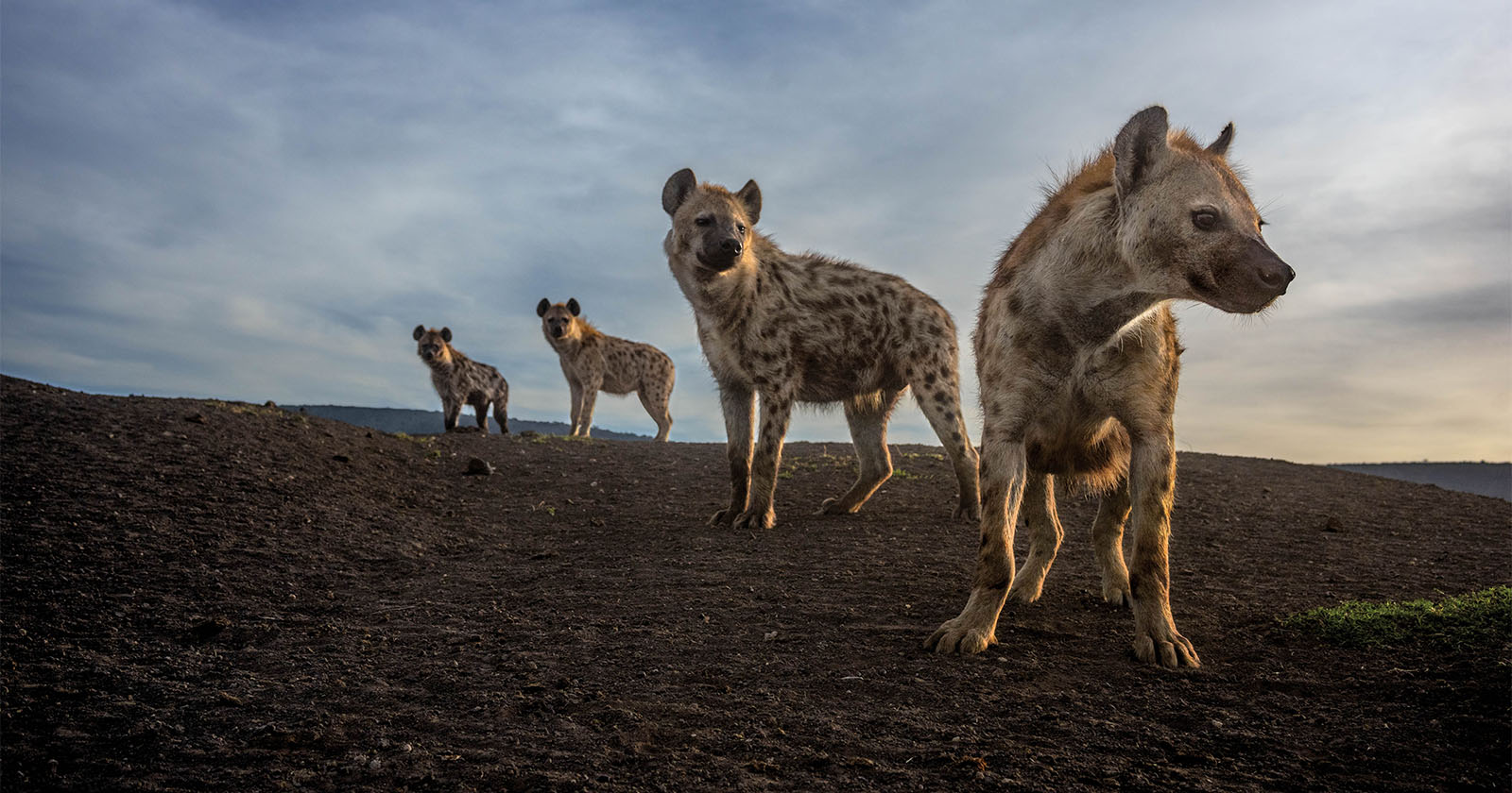 National Geographic 'Pictures of the Year' 2023