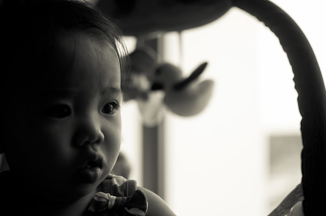 6821503933_f54c9a81bc_z.jpg