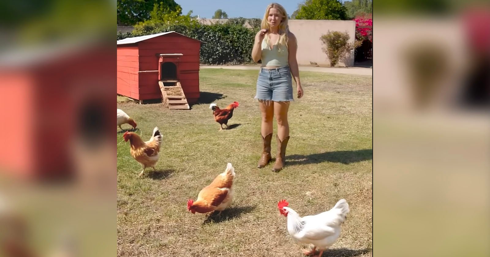 A woman in a green crop top, denim shorts, and cowboy boots stands on grass near several chickens and a red chicken coop on a sunny day.