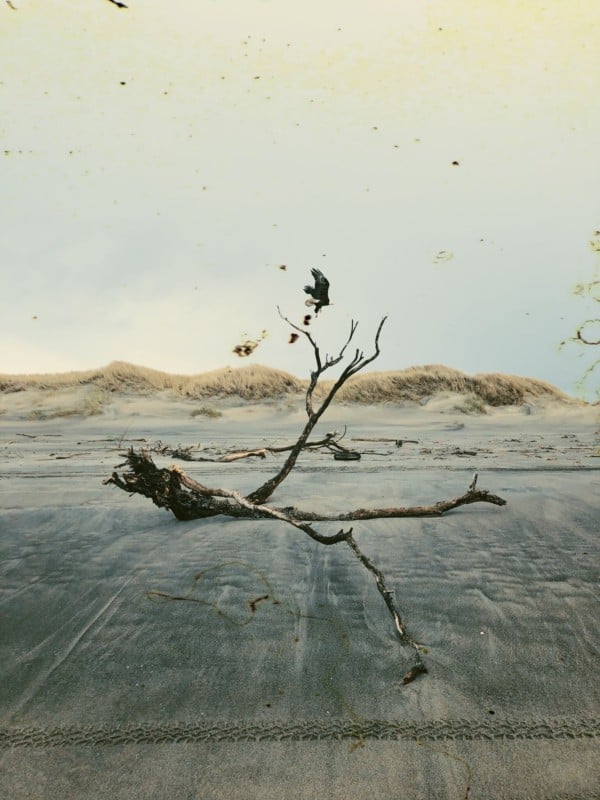 dust3-600x800.jpeg