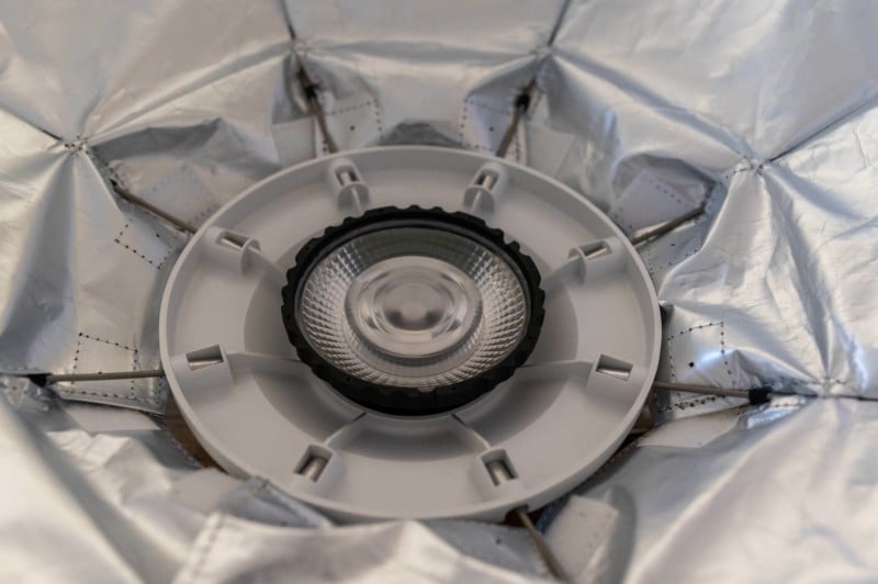 DJC5691-800x532.jpg