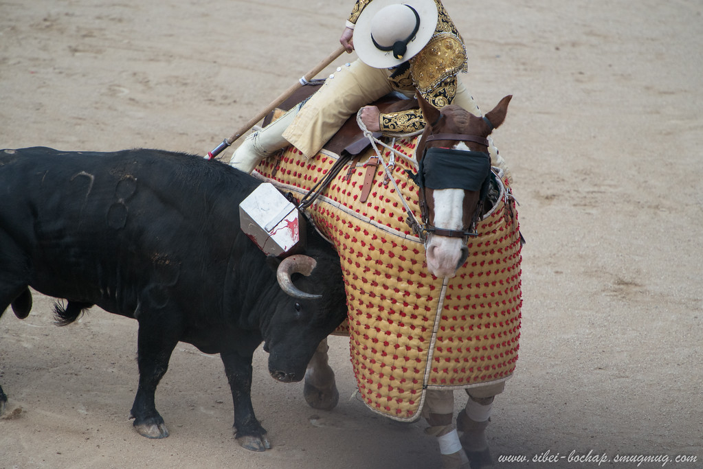 DSC8338-XL.jpg