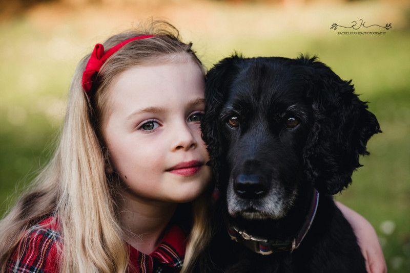 dog18-800x534.jpeg