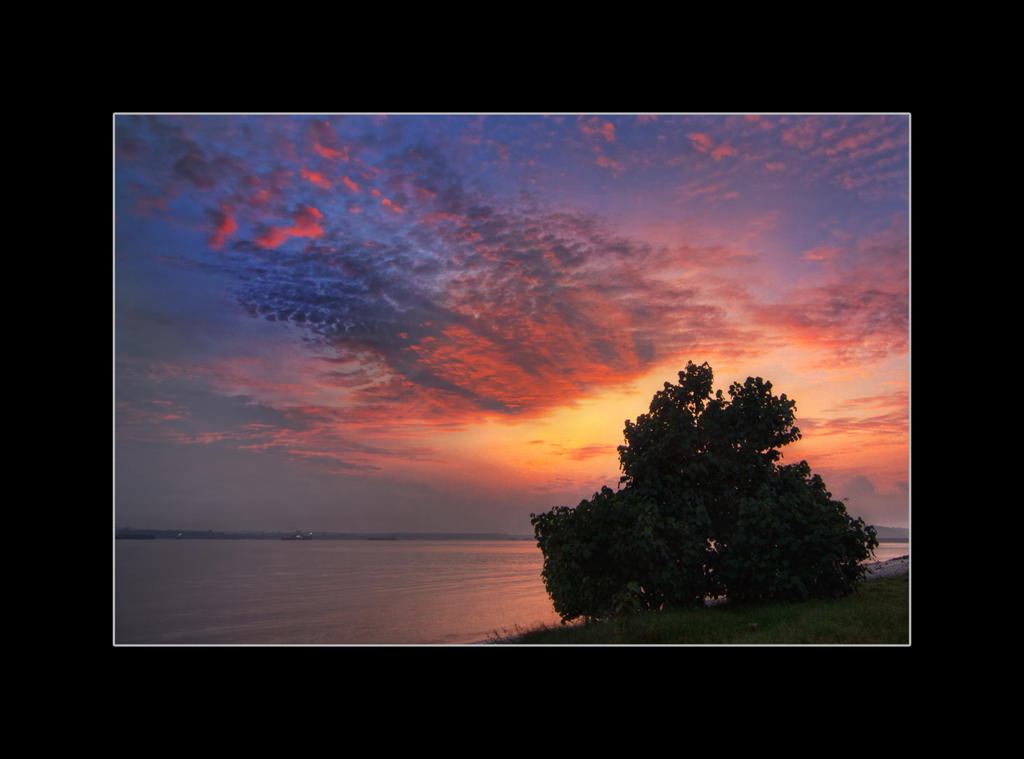 Fire_Bush_by_Draken413o.jpg