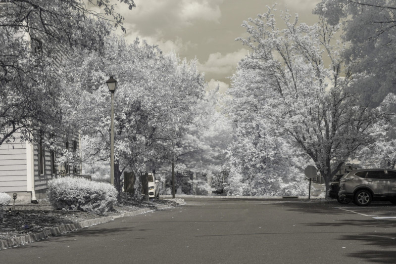 UV-Landscape-Comparison-720nm-scaled-1-800x534.jpg