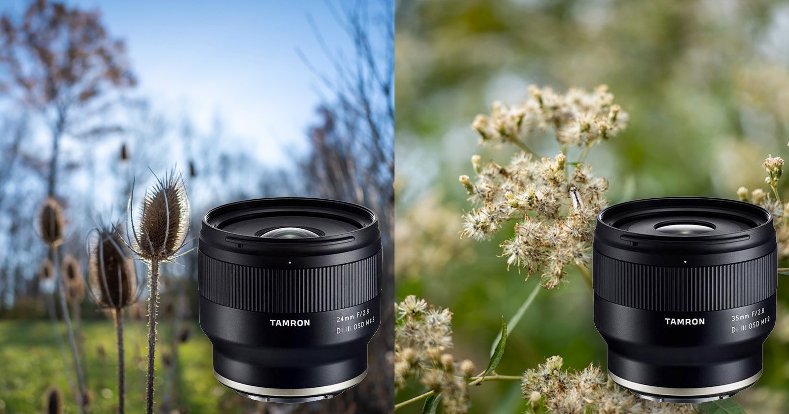 tamron_feat.jpg