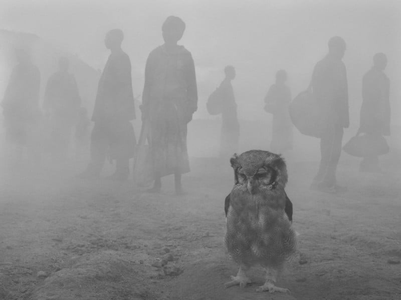 Harriet-and-People-in-Fog-Nick-Brandt-800x600.jpg